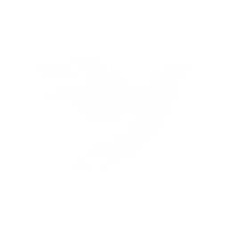 Suzaku